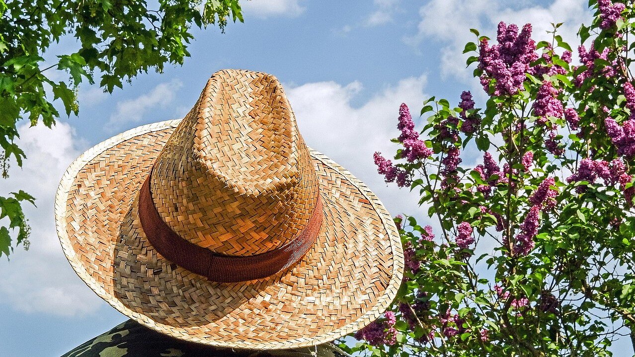 © pixaby.com | couleur Rückenansicht: Mensch, der einen Strohhut trägt