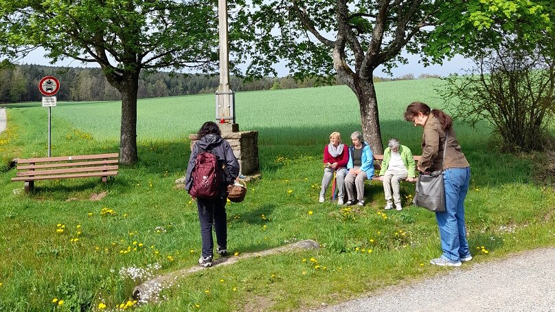 Drei Frauen machen Rast auf einer Bank im Grünen und zwei Frauen stehen davor