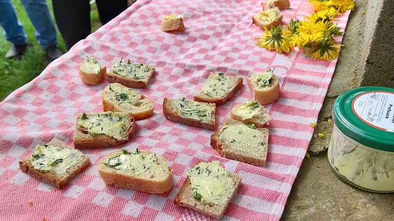 Mehrere Stücke Brot mit Wildkräuterbutter liegen auf einem rot-weiß kariertem Picknicktuch