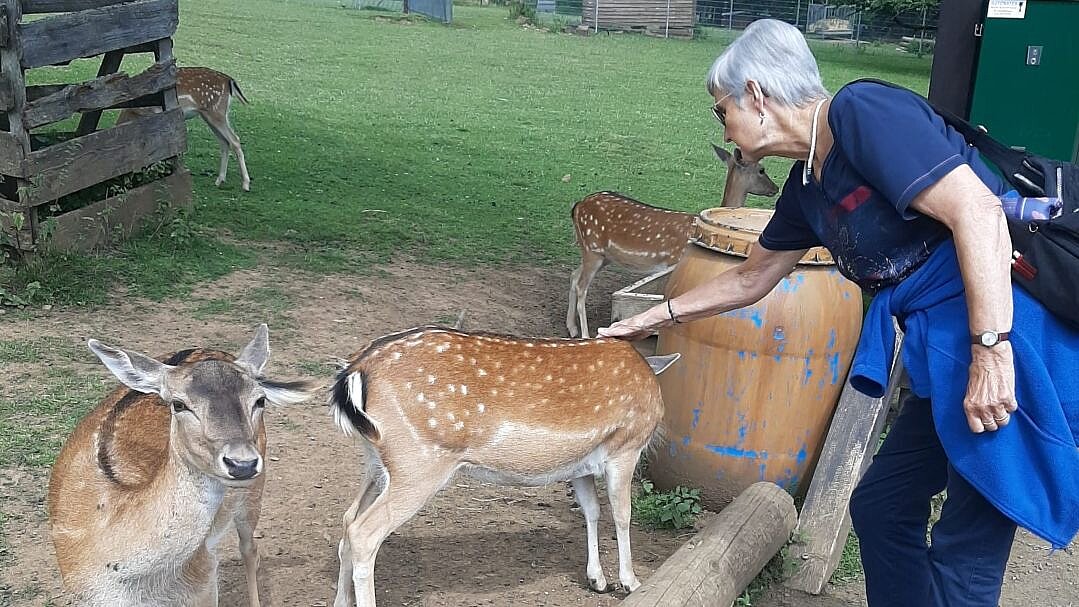 Foto: Seniorin streichelt Damhirsche, die auf einer Wiese stehen.