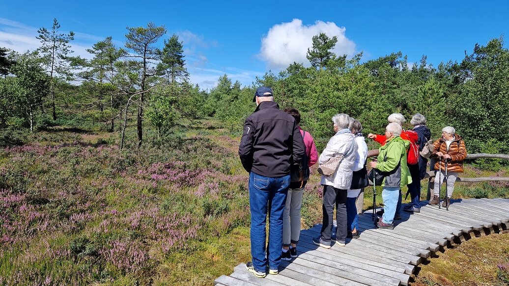 Eine Seniorengruppe steht auf einem Holzsteg und blickt in die Natur