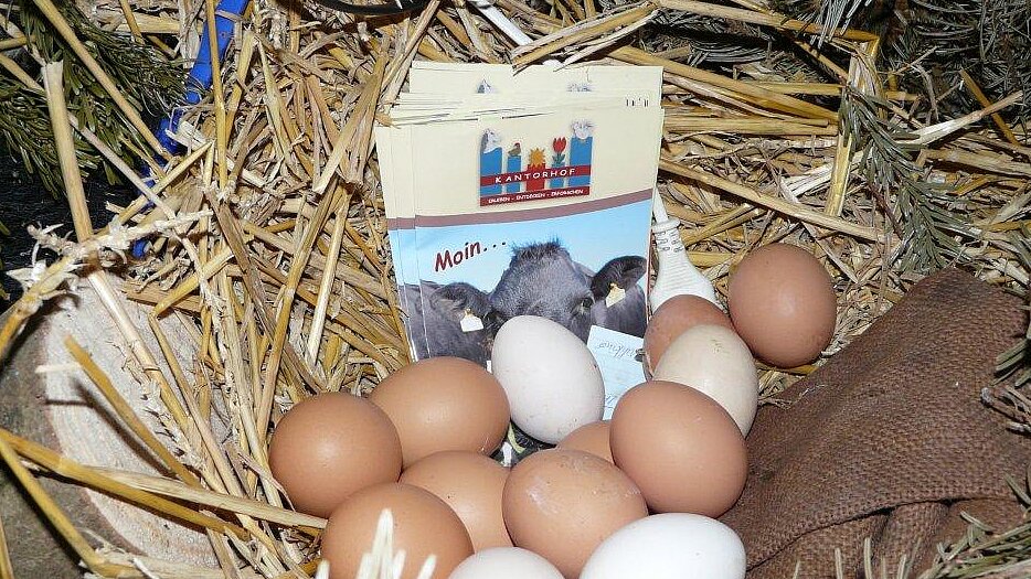 Foto: Weiße und gelbe Hühnereier im Stroh