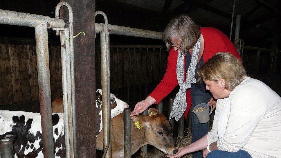 Foto: Maria Nielsen und eine Landwirtin streicheln in einem Stall ein Kälbchen.