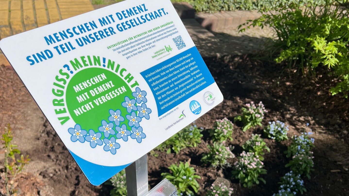 Foto: Schild mit Hinweis zum Vergissmeinnichttag steht in einem Beet mit blühenden Vergissmeinnicht