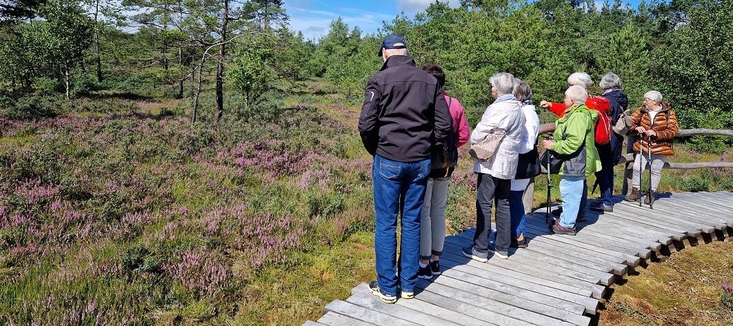 Foto: Eine Seniorengruppe steht auf einem Holzsteg und blickt in die Natur