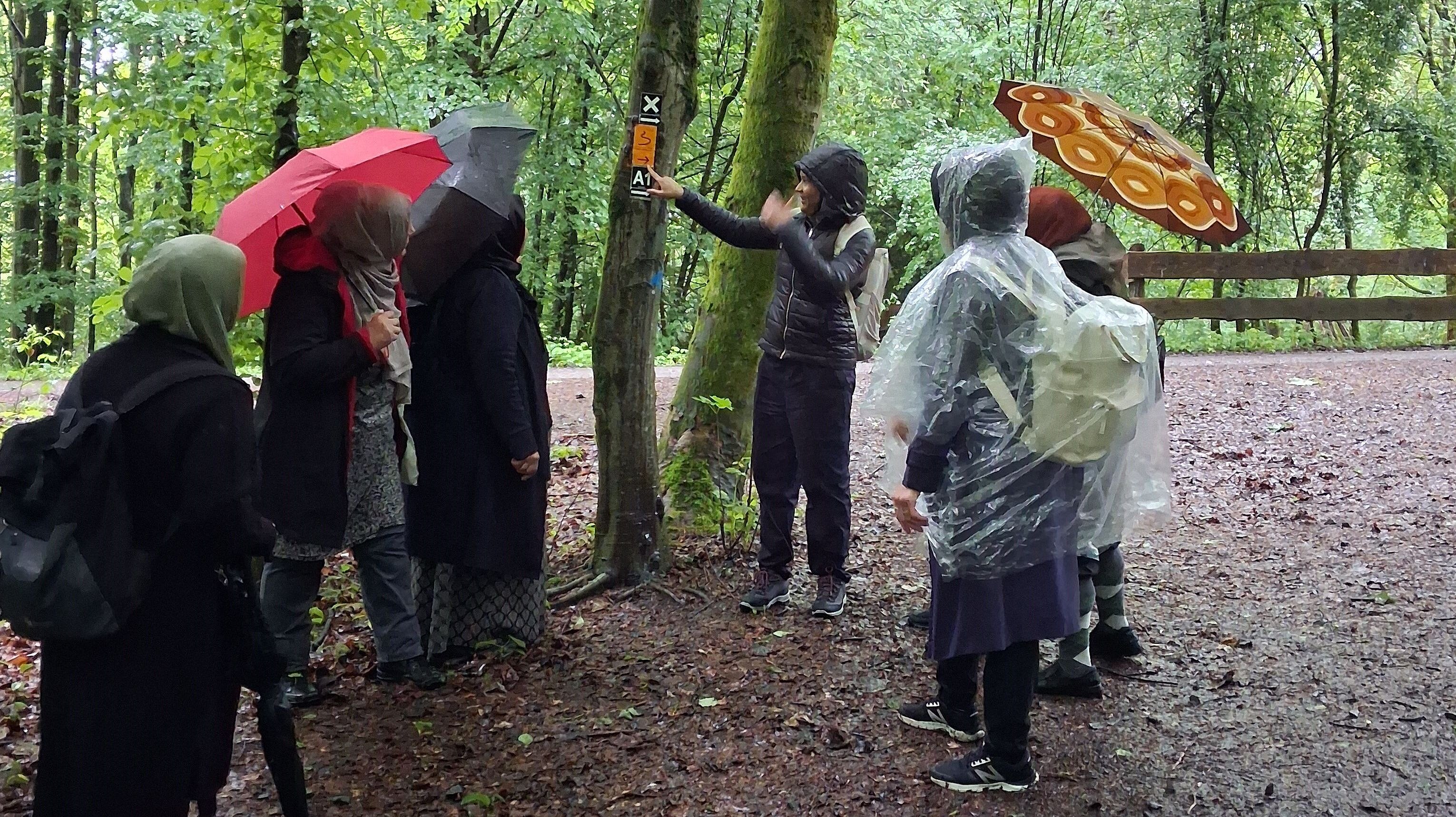 Wandern bei jedem Wetter! Foto: Eine Gruppe Menschen mit Schirmen und Regenkleidung stehen um eine Person, die auf ein Schild an einem Baum deutet.