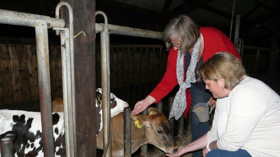 Maria Nielsen und eine Landwirtin streicheln in einem Stall ein Kälbchen.