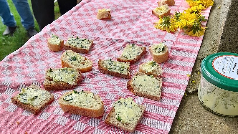 Mehrere Stücke Brot mit Wildkräuterbutter liegen auf einem rot-weiß kariertem Picknicktuch