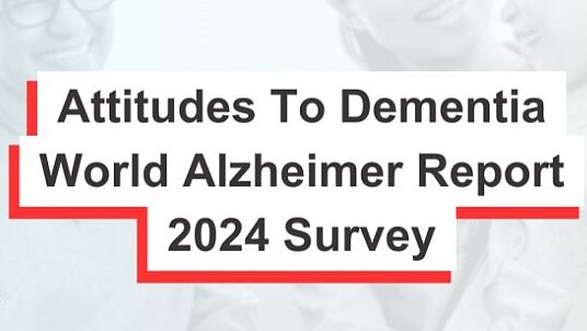 © www.alzint.org | Screenshot Screenshot: Ausschnitt von der Internetseite www.alzint.org