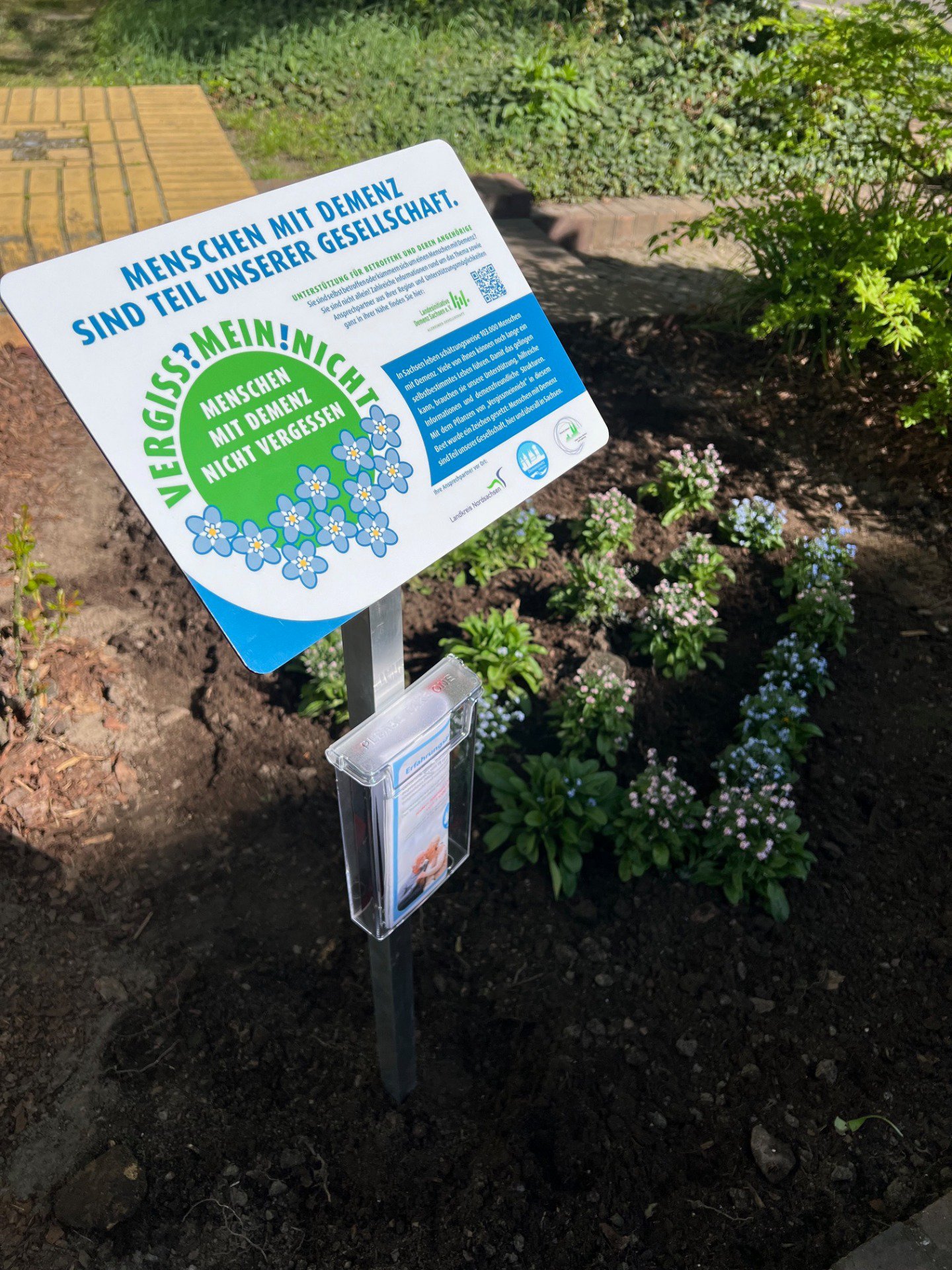 Foto: Schild mit Hinweis zum Vergissmeinnichttag steht in einem Beet mit blühenden Vergissmeinnicht